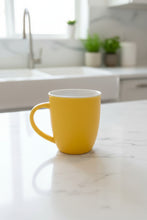 Load image into Gallery viewer, Matt Mug 500ml