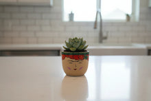 Load image into Gallery viewer, Elegant Face Pattern  Pot