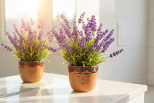 Load image into Gallery viewer, Elegant Face Pattern  Pot