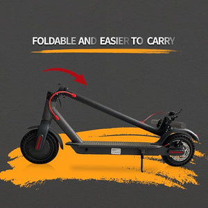 Electric Scooter - ESA Pro 