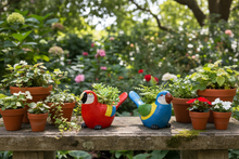 Load image into Gallery viewer, Lorikeet Pot Planter