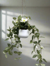 Load image into Gallery viewer, Hanging White Flower Plant-70cm