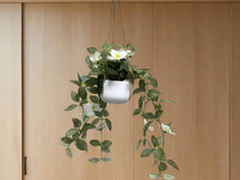 Load image into Gallery viewer, Hanging White Flower Plant-70cm