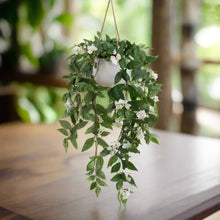 Load image into Gallery viewer, Hanging White Flower Plant-70cm