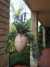 Load image into Gallery viewer, HANGING LAVENDER PLANT IN POT- ARTIFICIAL FAUX PLANT FLOWER