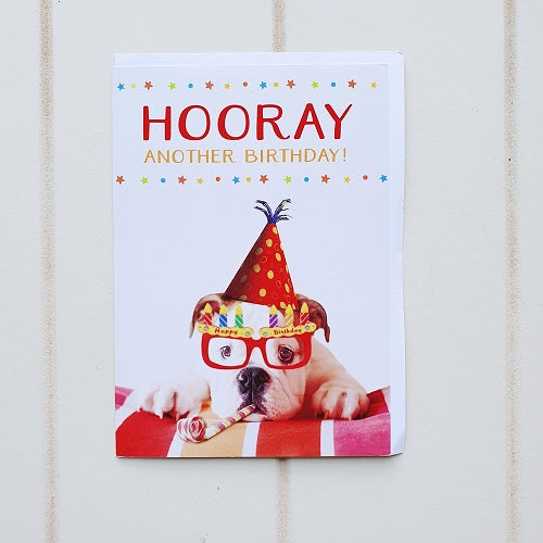 Dog with Glasses Birthday Greeting Card. Front cover says, 