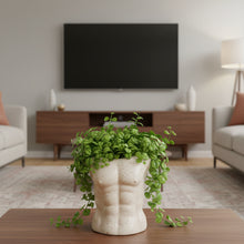 Load image into Gallery viewer, VASE BODY SHAPE