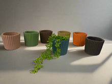 Load image into Gallery viewer, Cement pots