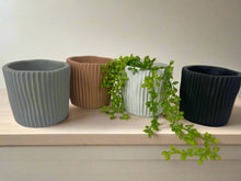 Load image into Gallery viewer, Cement pots