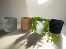 Load image into Gallery viewer, Cement pots