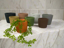 Load image into Gallery viewer, Cement pots
