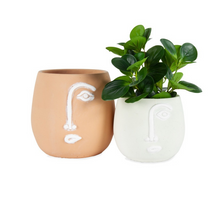 Load image into Gallery viewer, How quirky are our new Pablo Pots in White. The minimal concrete face planters with white detailing come with a drainage hole and plug for you convenience. Measures: 17x15cm. Material: Cement.| Bliss Gifts &amp; Homewares | Unit 8, 259 Princes Hwy Ulladulla | South Coast NSW | Online Retail Gift &amp; Homeware Shopping | 0427795959, 44541523