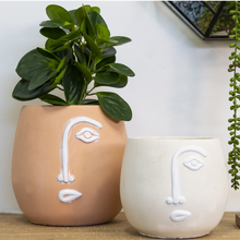 Load image into Gallery viewer, How quirky are our new Pablo Pots in White. The minimal concrete face planters with white detailing come with a drainage hole and plug for you convenience. Measures: 17x15cm. Material: Cement.| Bliss Gifts &amp; Homewares | Unit 8, 259 Princes Hwy Ulladulla | South Coast NSW | Online Retail Gift &amp; Homeware Shopping | 0427795959, 44541523