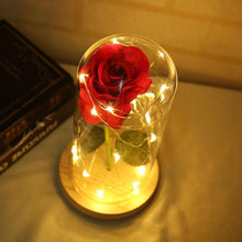 Load image into Gallery viewer, Enchanted LED Forever Rose