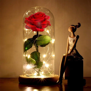 Enchanted LED Forever Rose